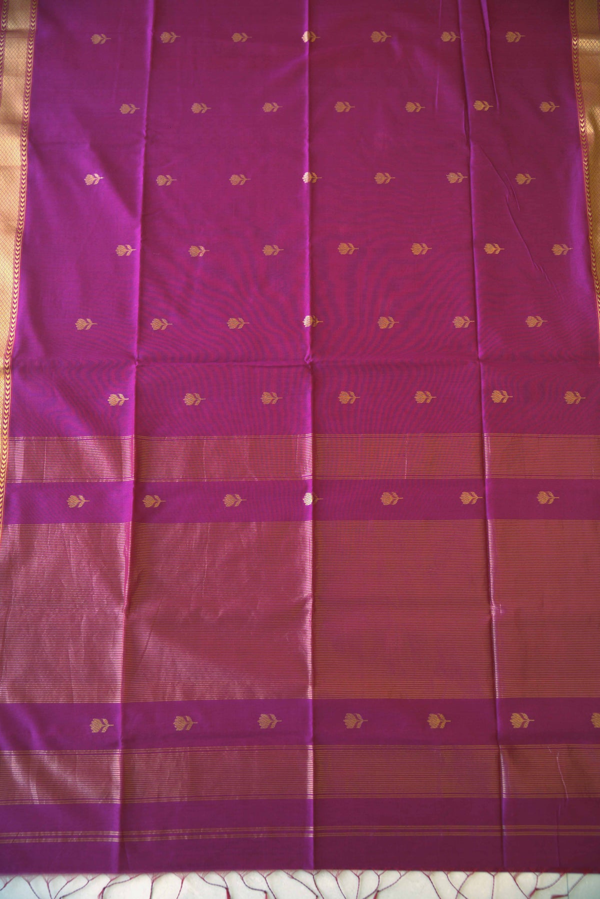 Maheshwari Silk Cotton Saree M048