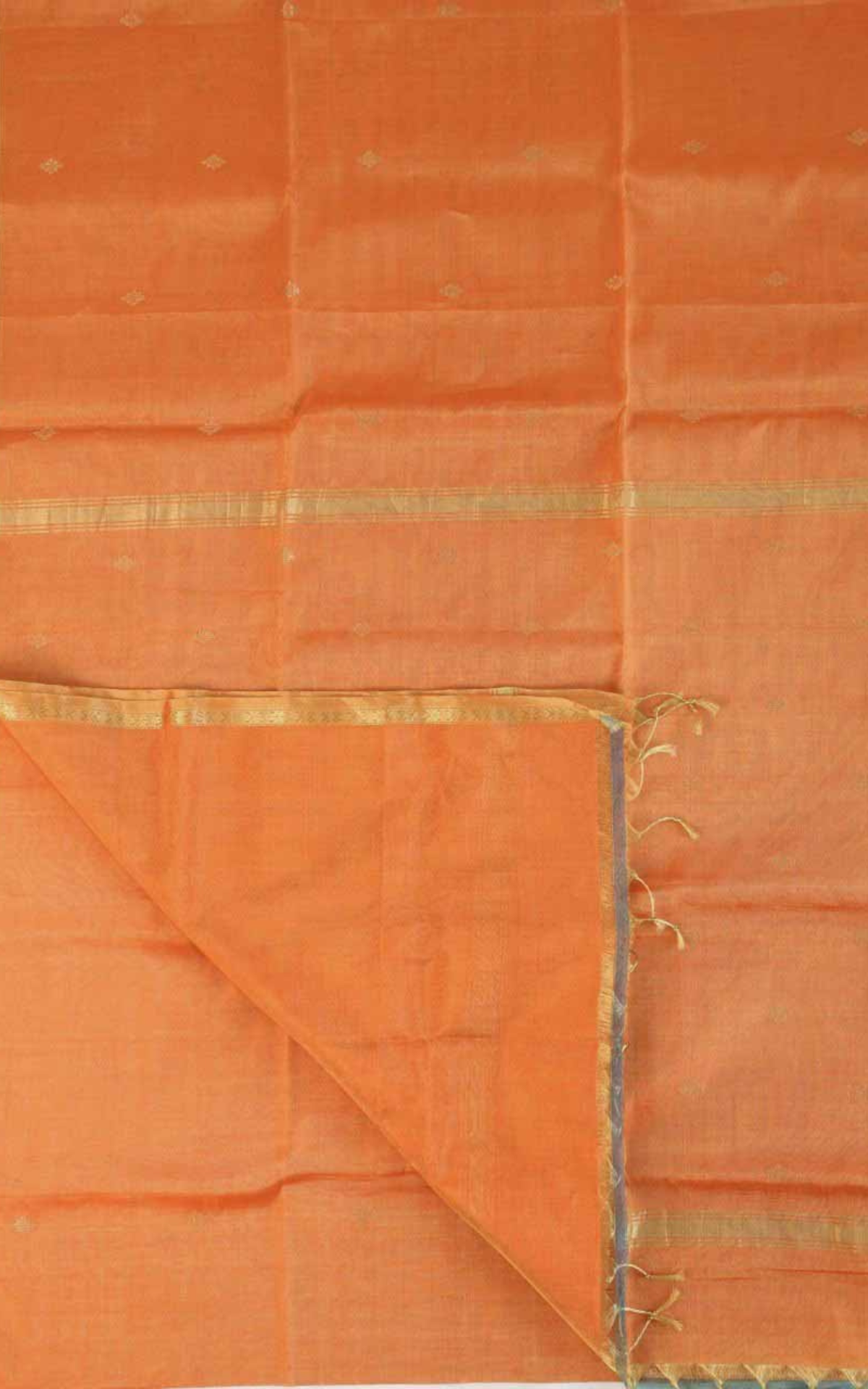Maheshwari Tissue Silk Cotton Saree M04