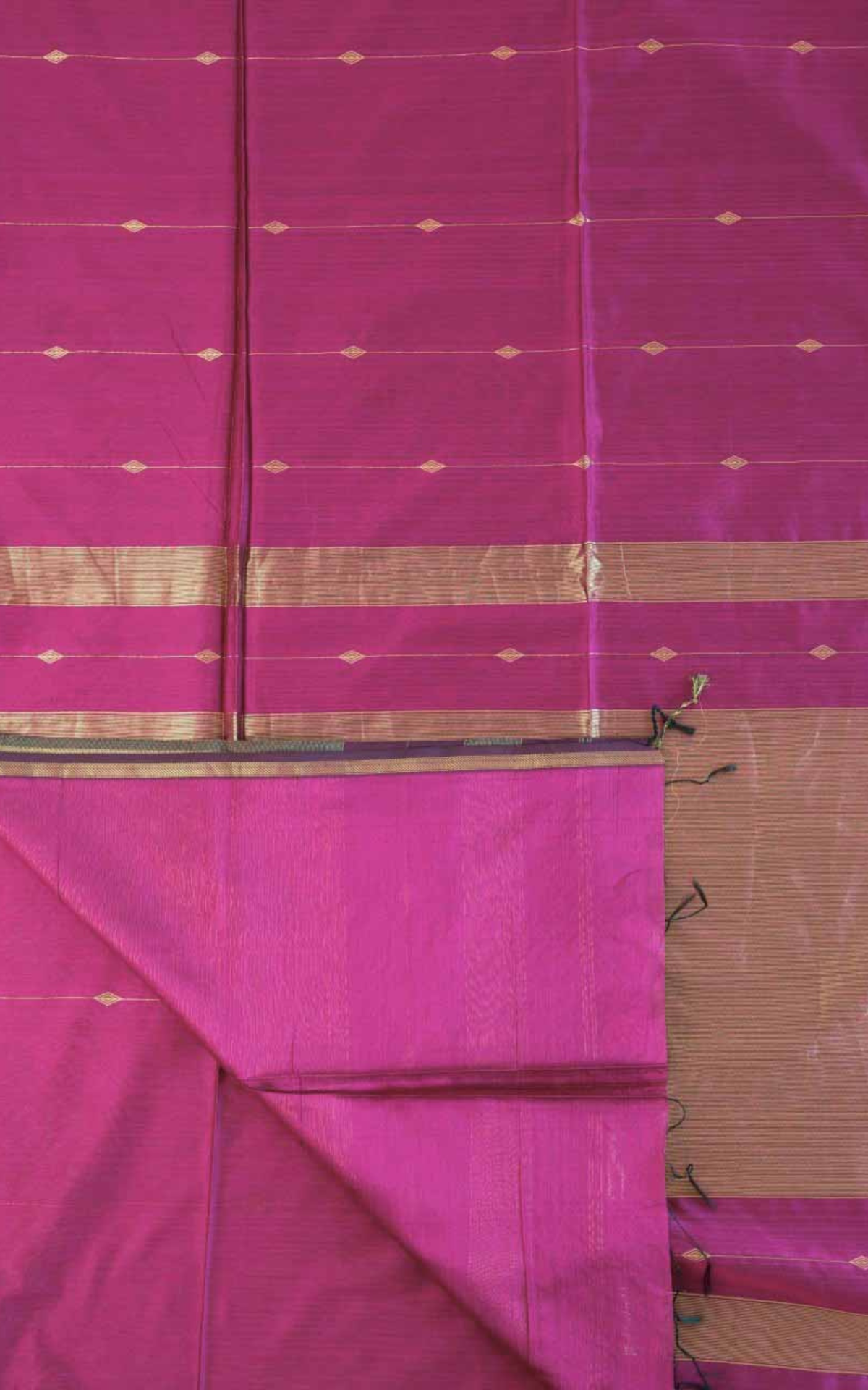 Maheshwari Silk Cotton Saree M05