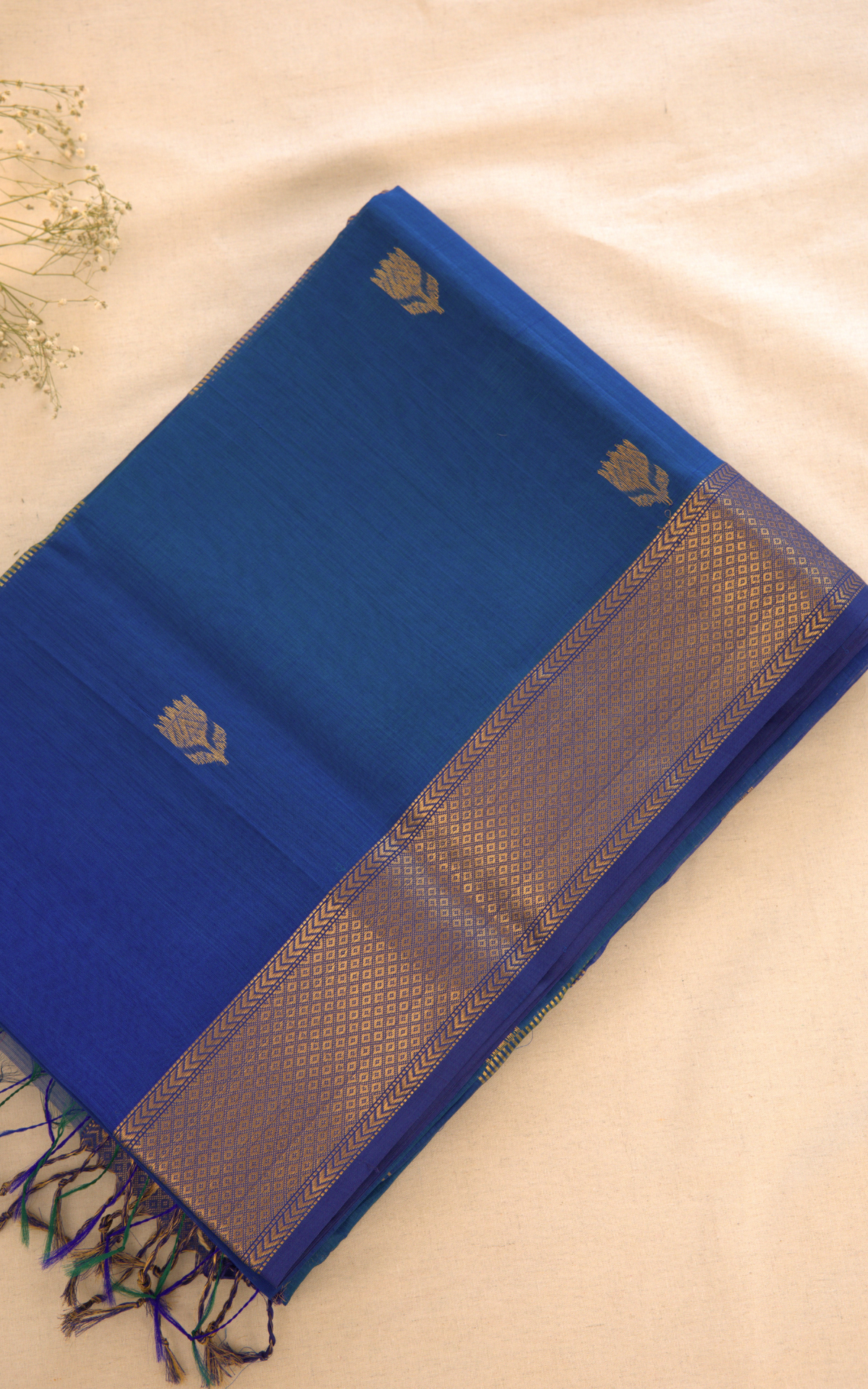 Maheshwari Silk Cotton Saree M09