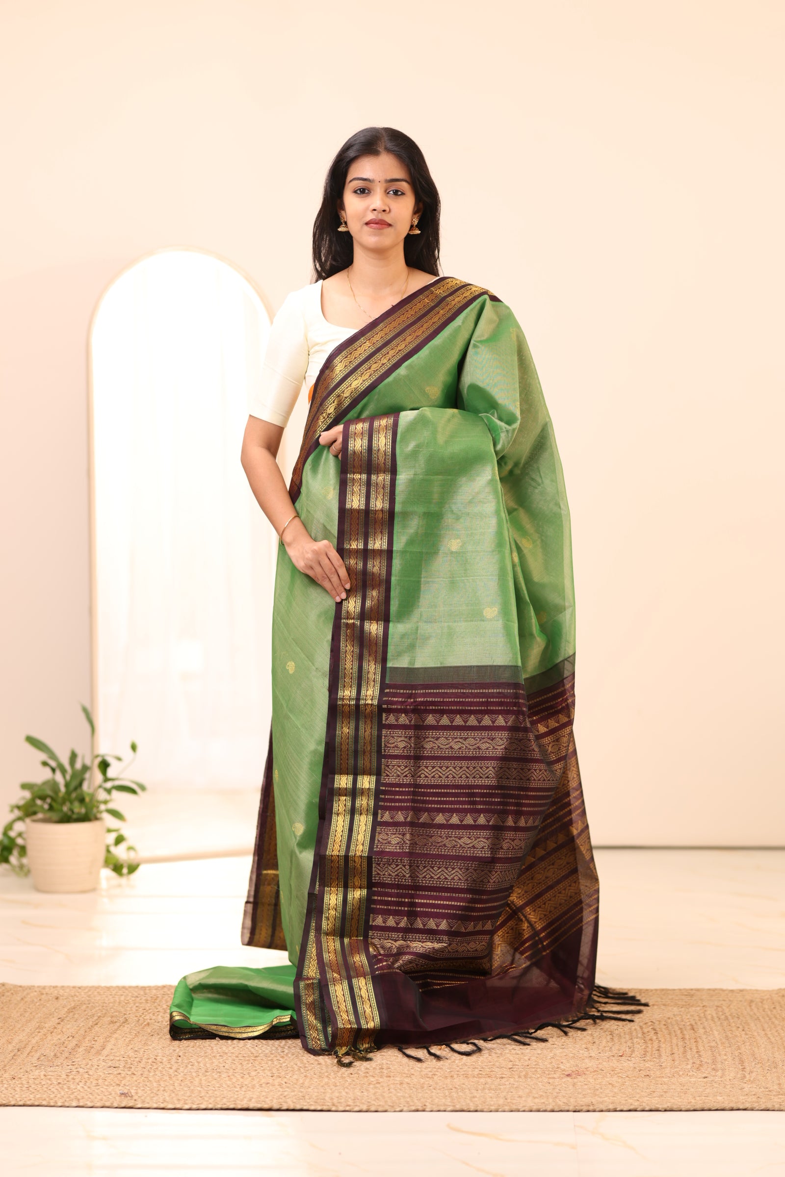 Kanchi Silk Cotton Saree A27