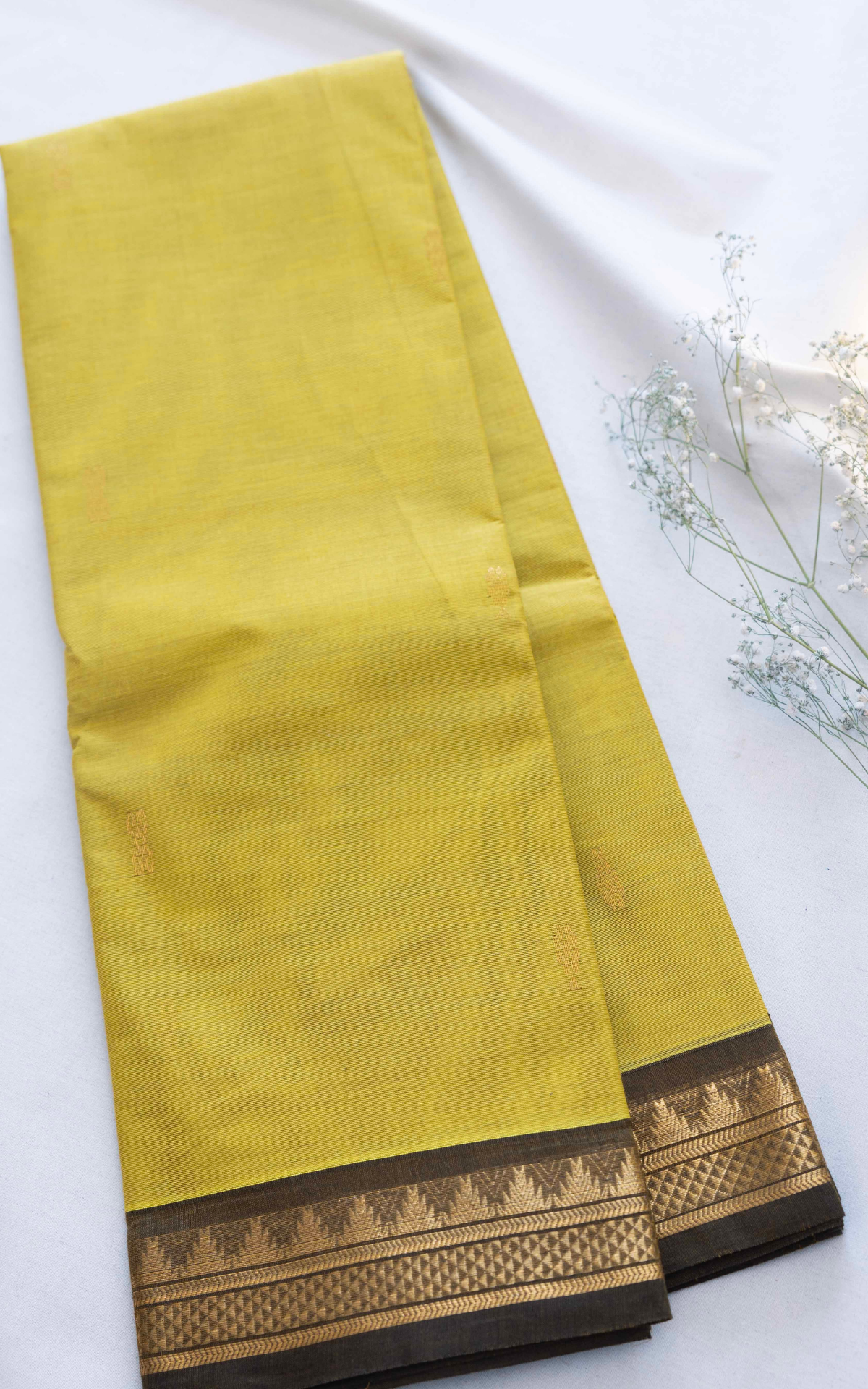 Butta Chettinad Cotton Saree CW532
