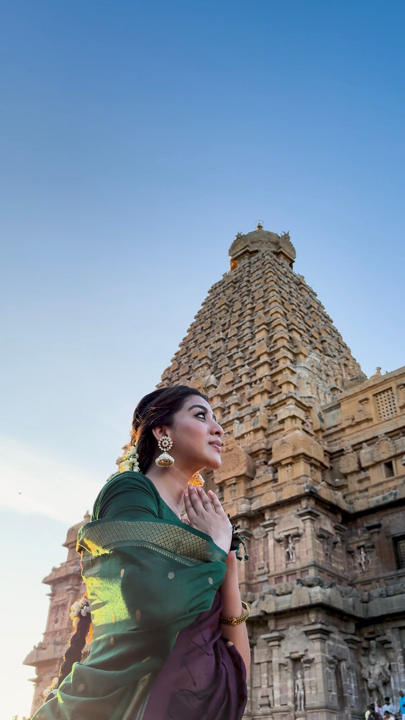 Luthuf Dark Wine Maheshwari Silk Cotton Handloom Saree