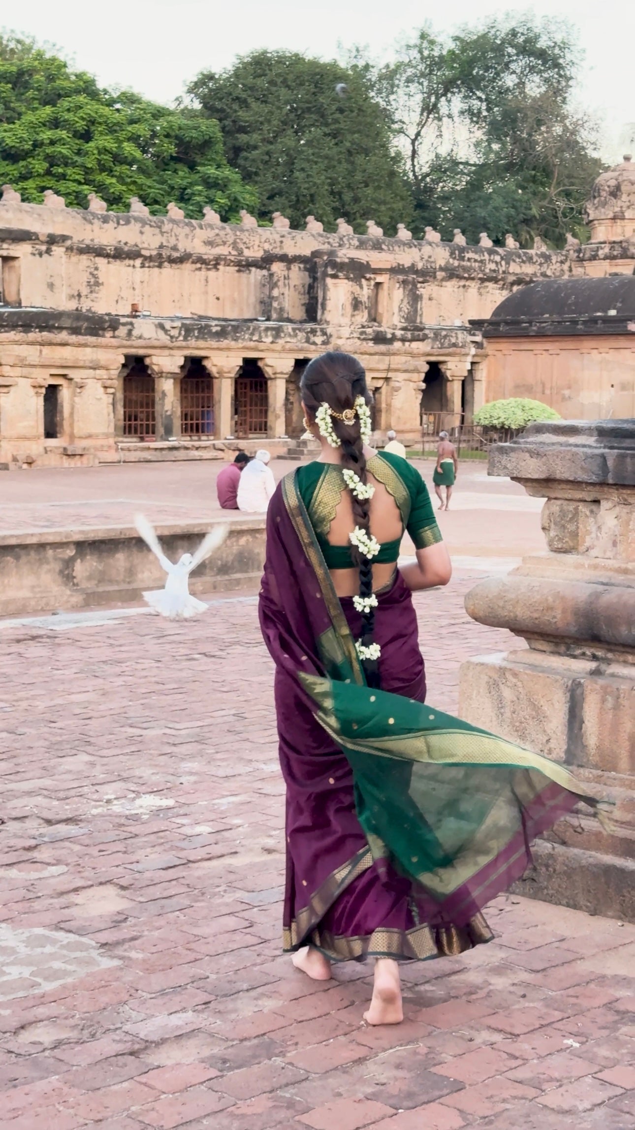 Luthuf Dark Wine Maheshwari Silk Cotton Handloom Saree