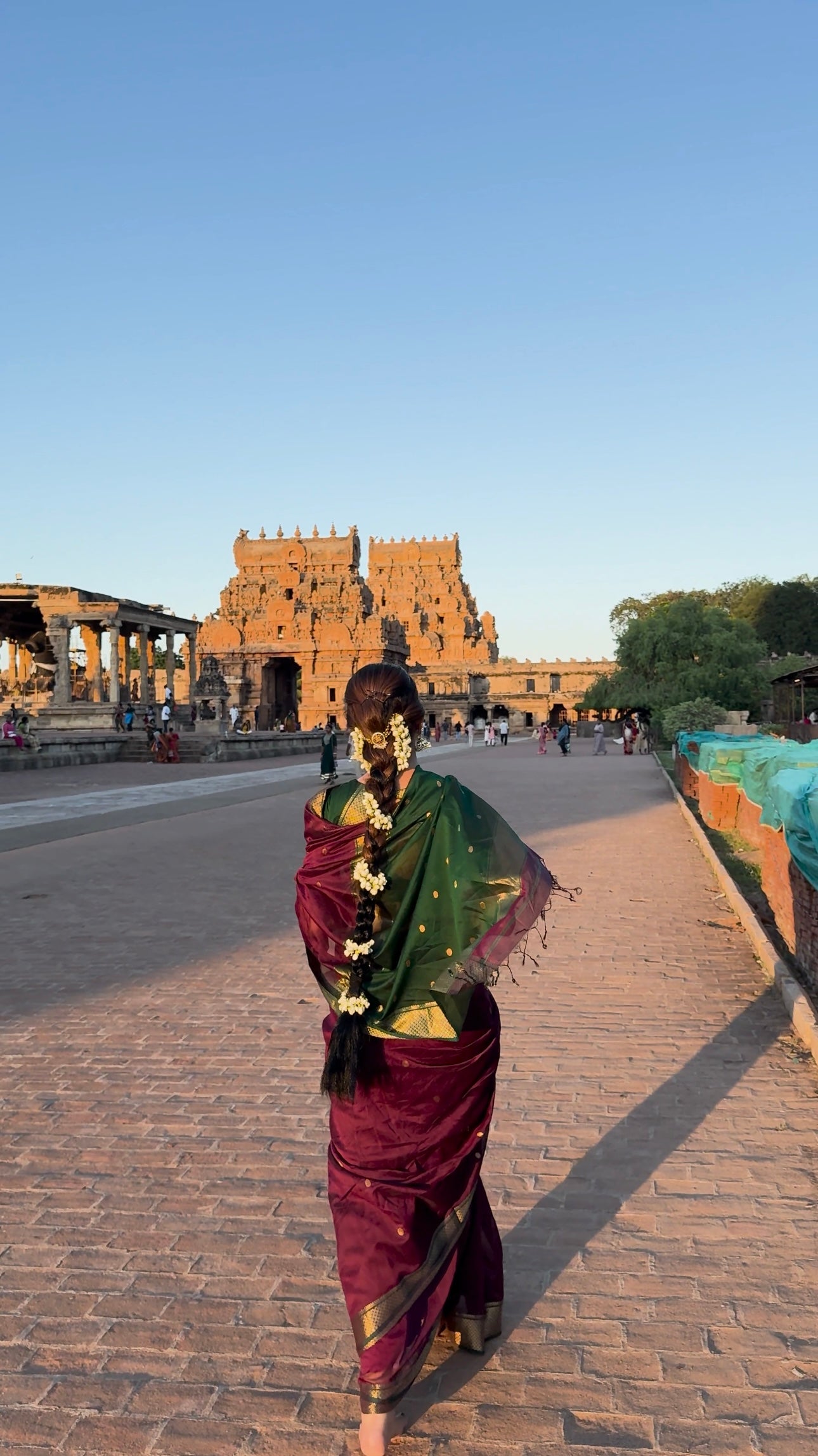 Luthuf Dark Wine Maheshwari Silk Cotton Handloom Saree