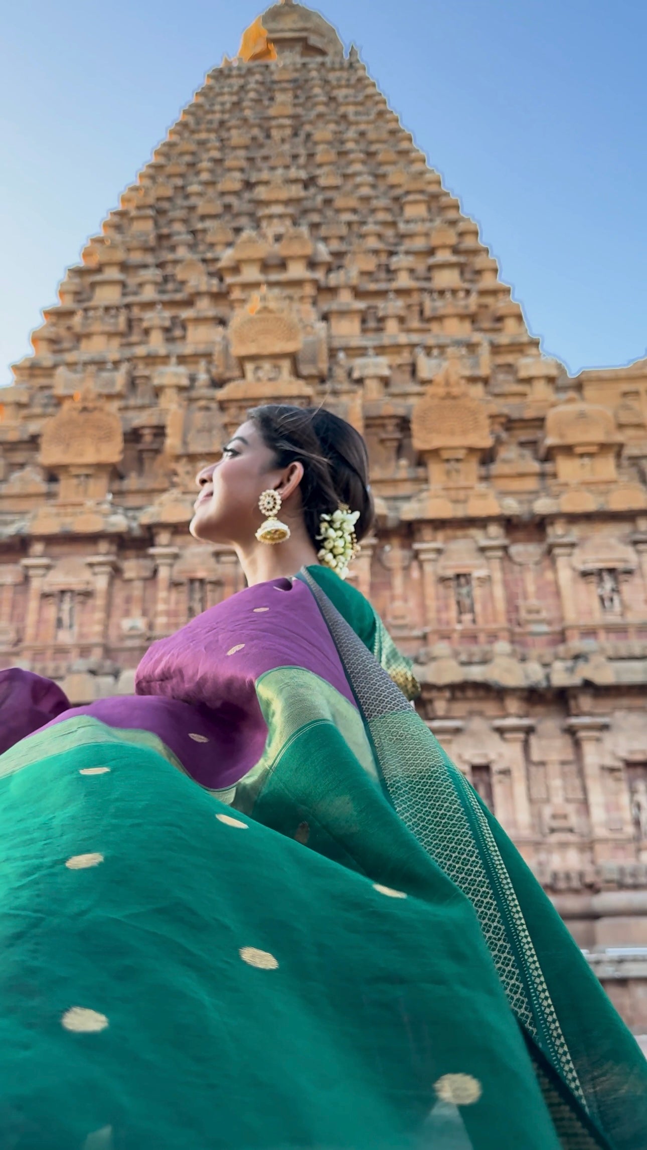 Luthuf Dark Wine Maheshwari Silk Cotton Handloom Saree