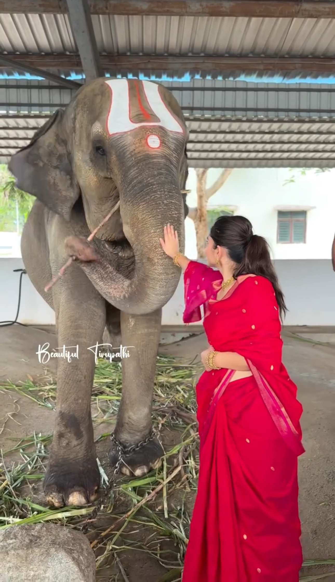 Kayadu Lohar Red and Pink Maheshwari Silk Cotton Handloom Saree