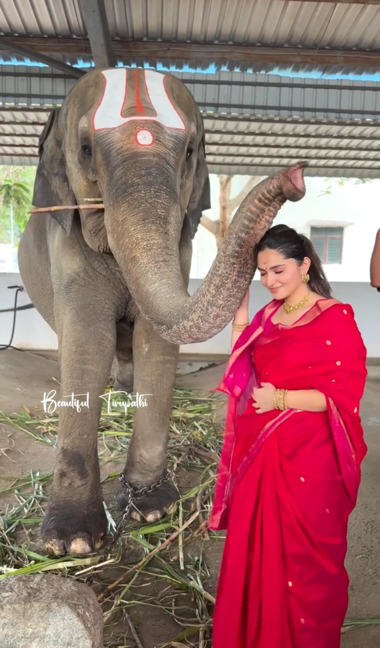 Kayadu Lohar Red and Pink Maheshwari Silk Cotton Handloom Saree