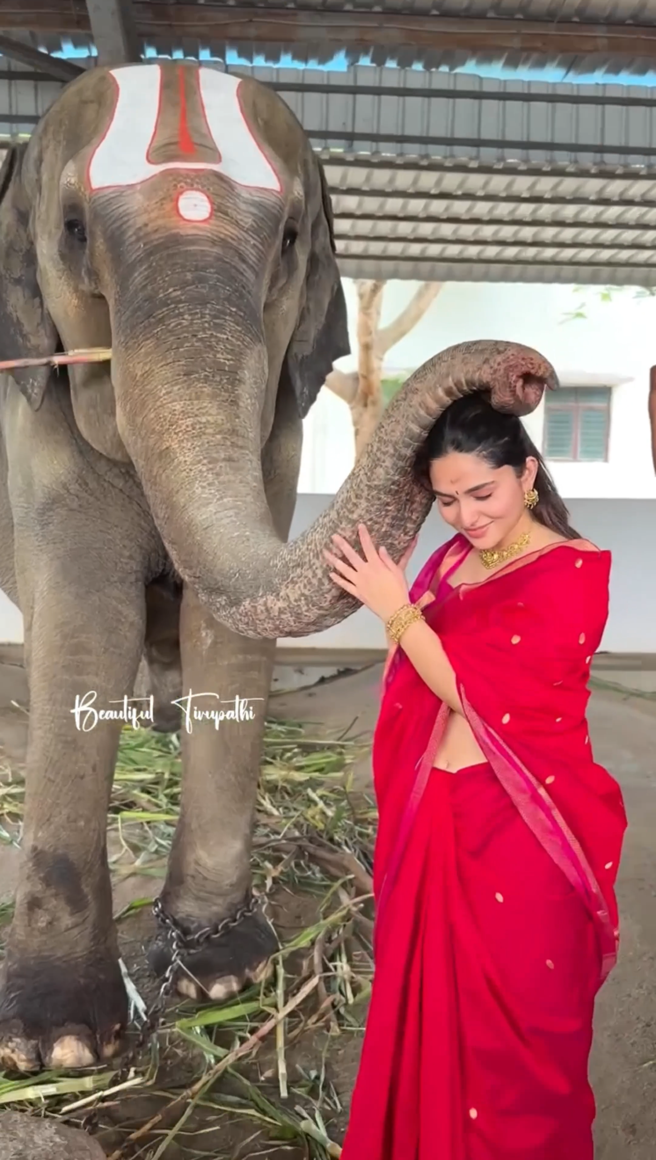 Kayadu Lohar Red and Pink Maheshwari Silk Cotton Handloom Saree