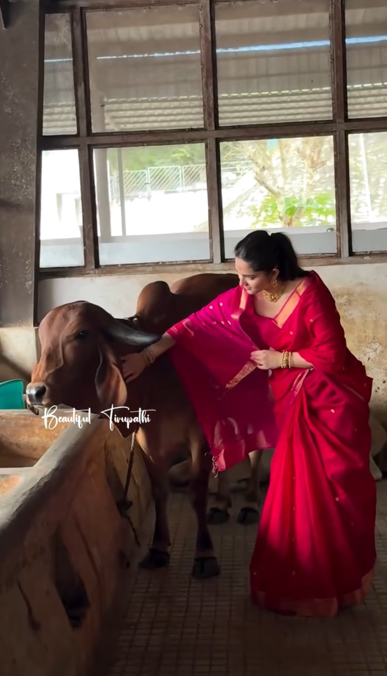 Kayadu Lohar Red and Pink Maheshwari Silk Cotton Handloom Saree