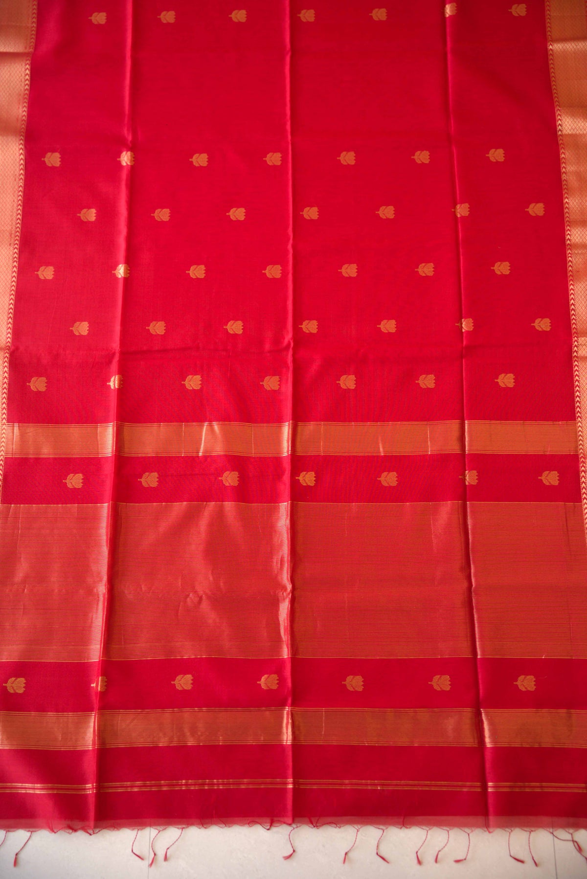 Maheshwari Silk Cotton Saree M043