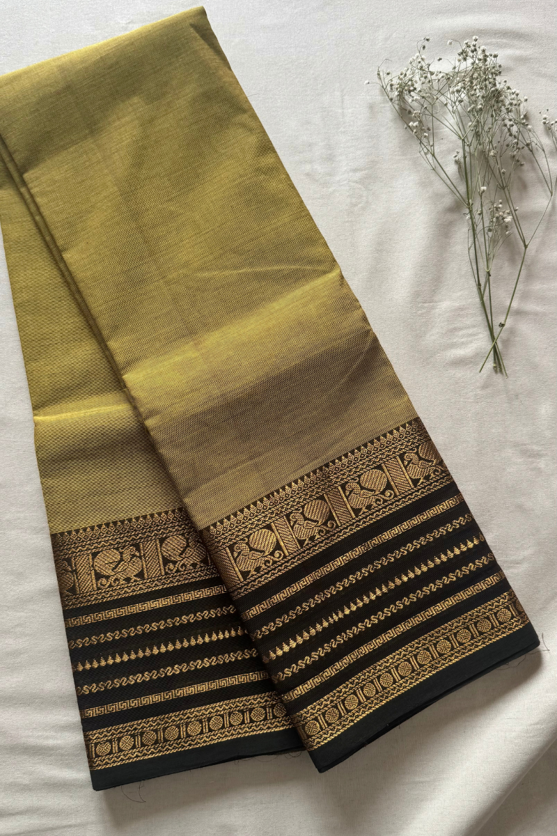Kanchi Chettinad Cotton Saree CW226