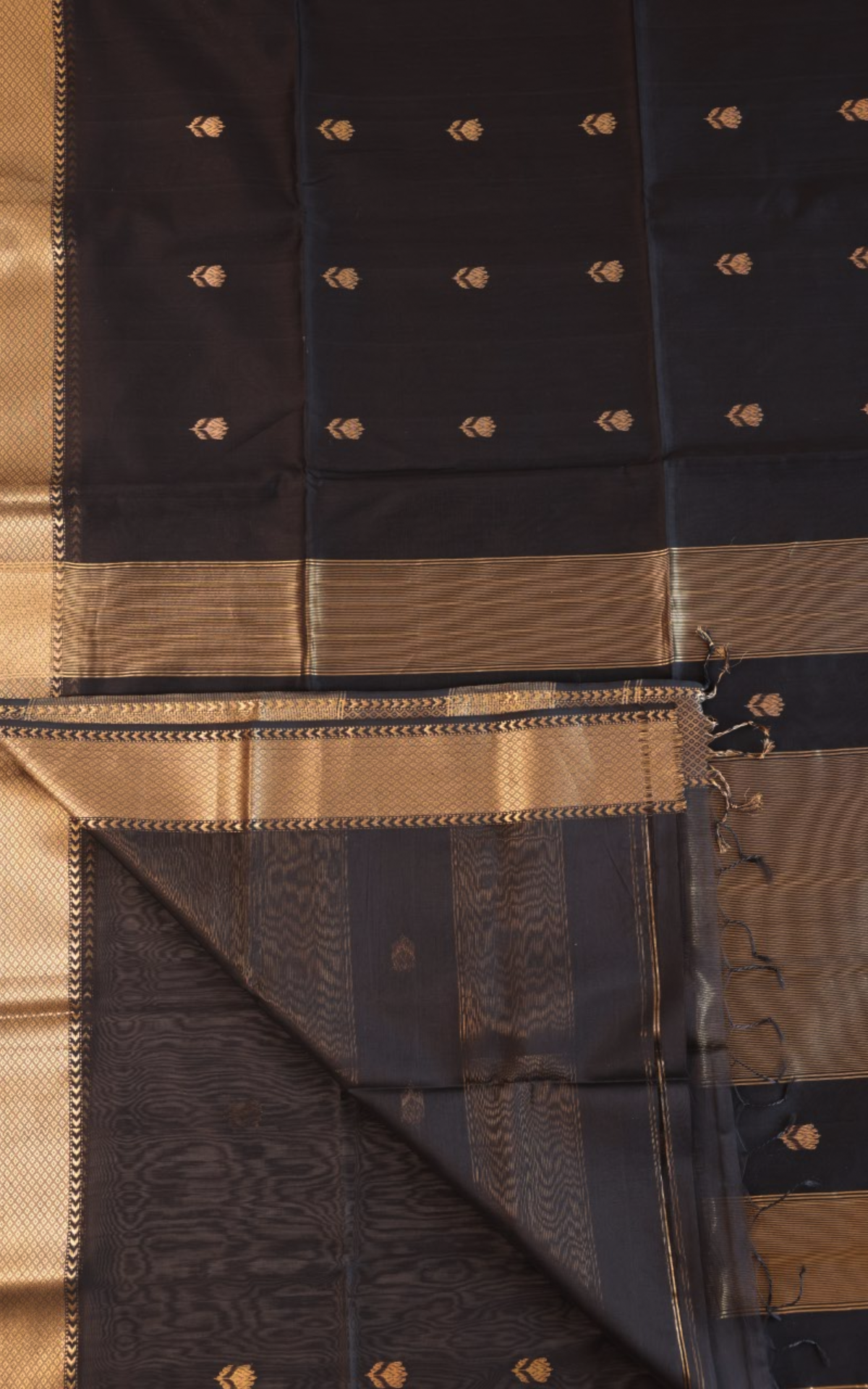 Maheshwari Silk Cotton Saree M02