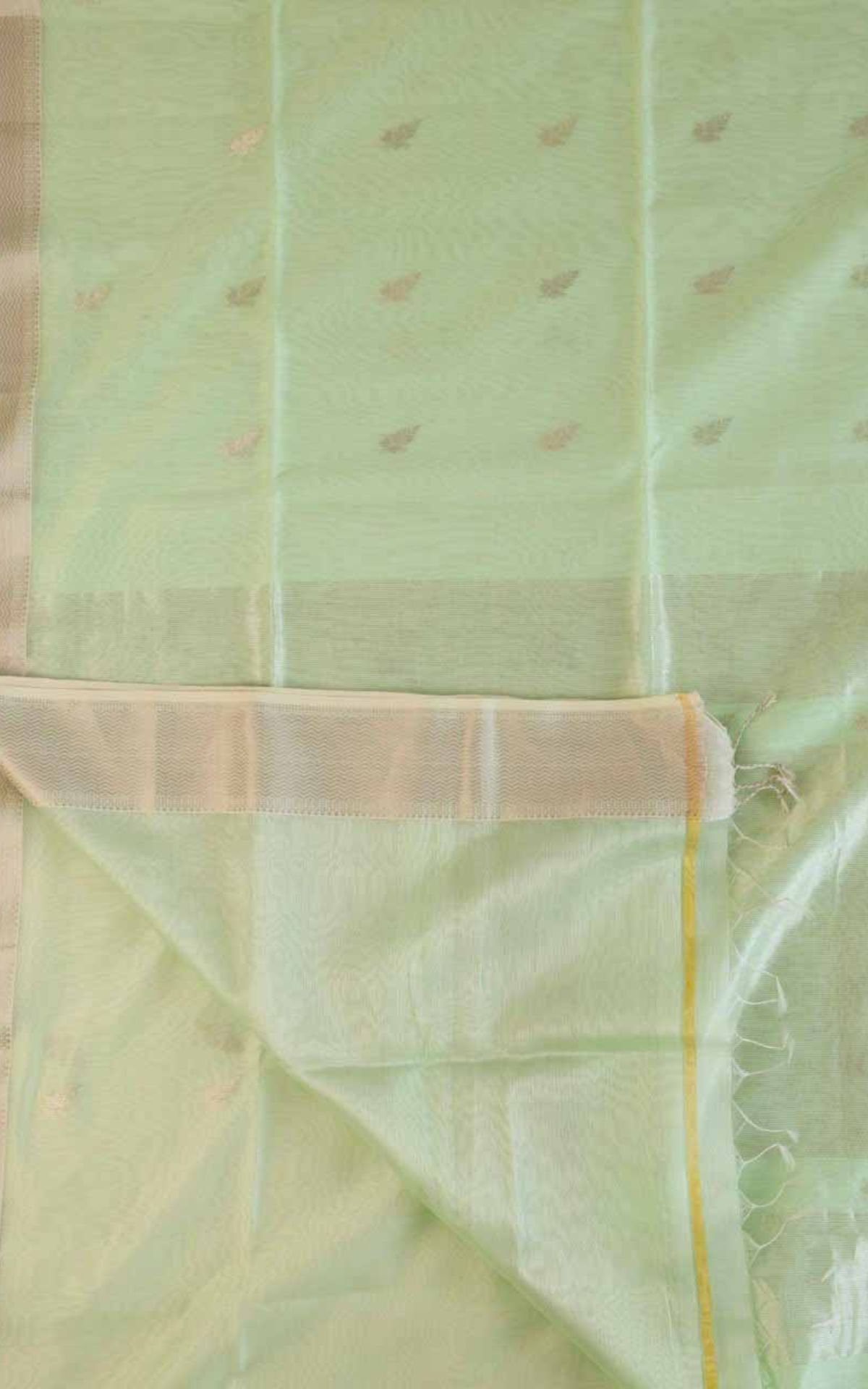 Maheshwari Silk Cotton Saree M06