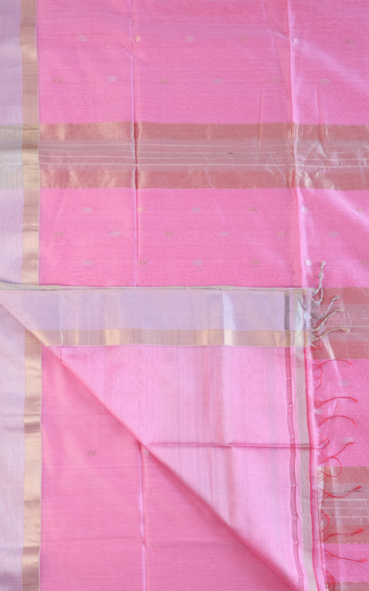 Maheshwari Silk Cotton Saree M020