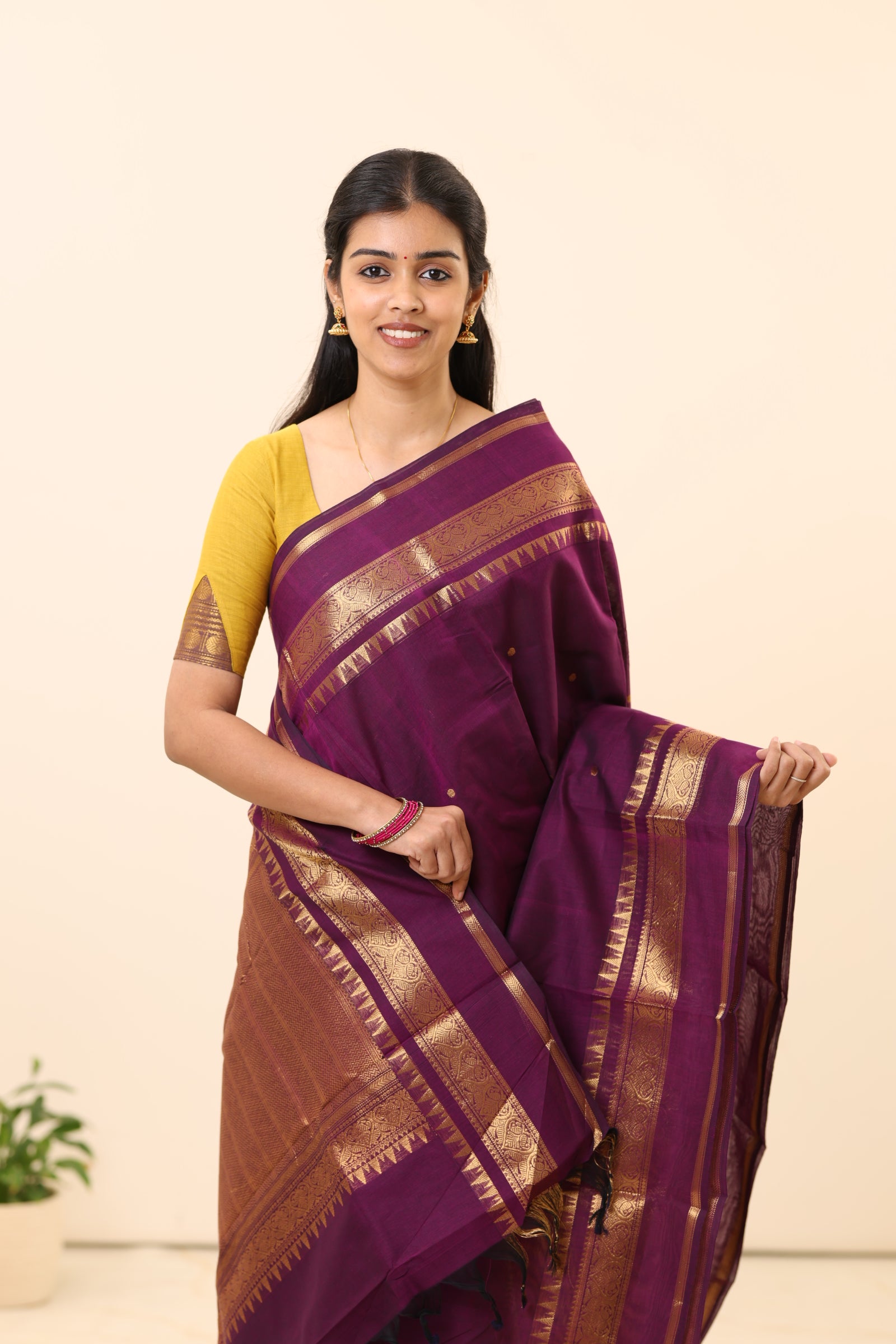 Chettinad Cotton Sarees C18