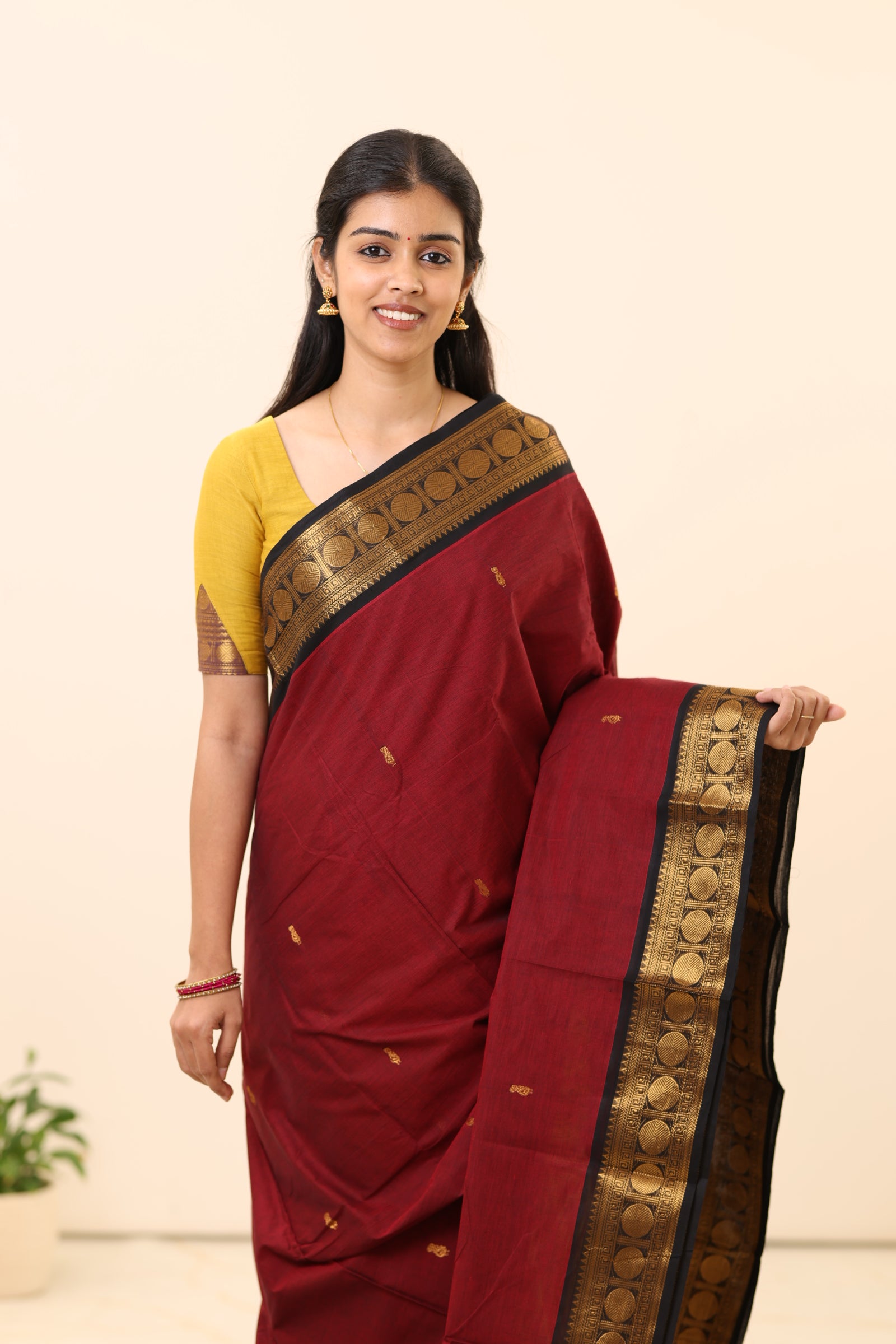 Chettinad Cotton Sarees C14