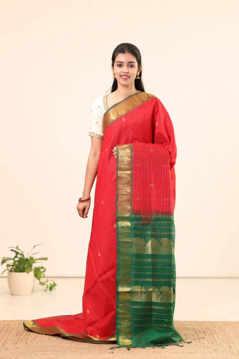 Kanchi Silk Cotton Saree A135