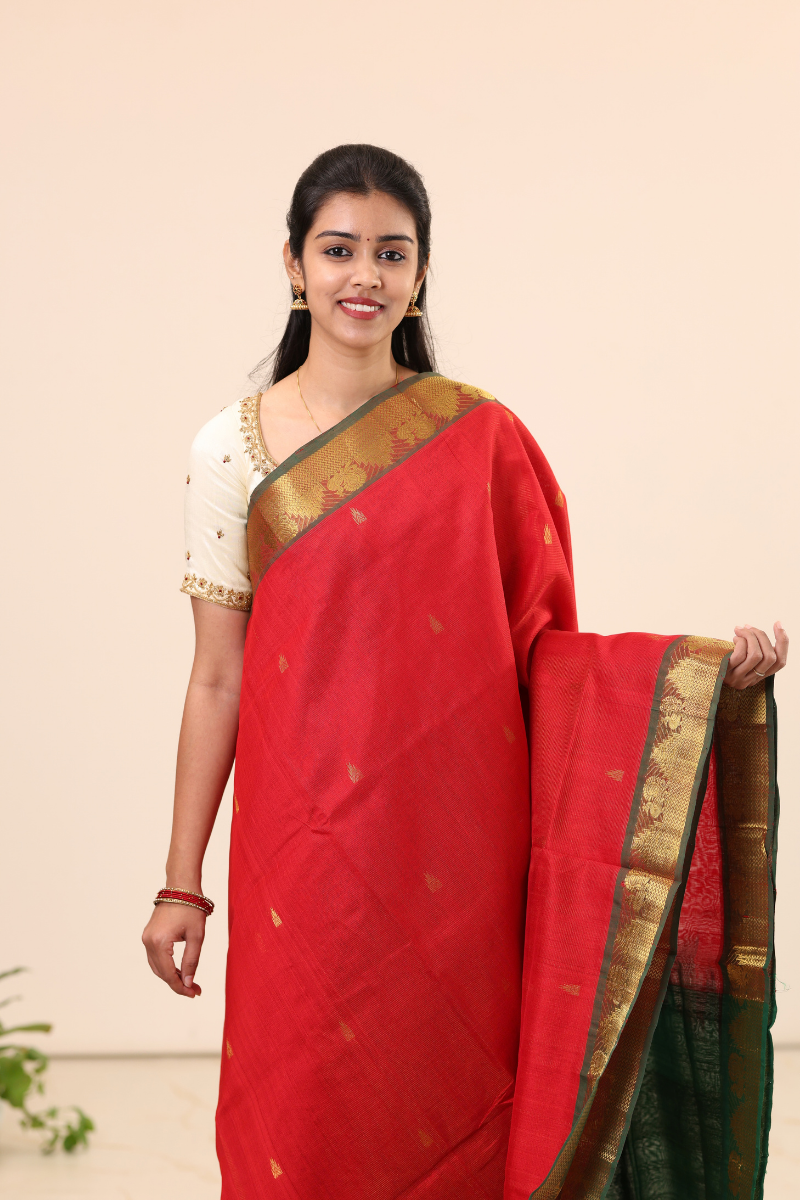 Kanchi Silk Cotton Saree A135