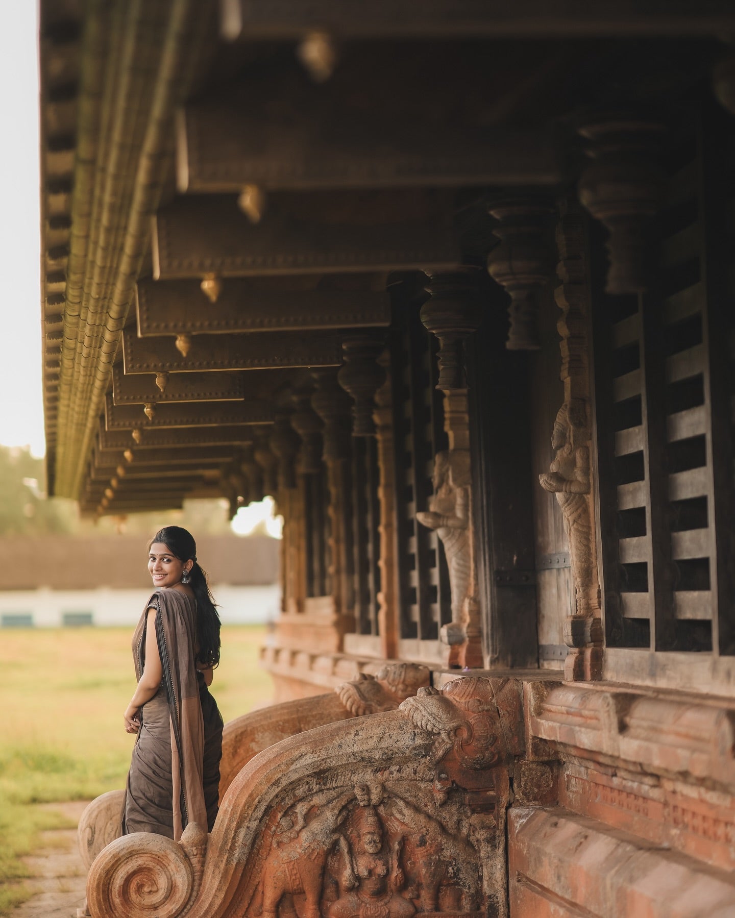 Ananthika Sanilkumar Brown Narayanpet Saree